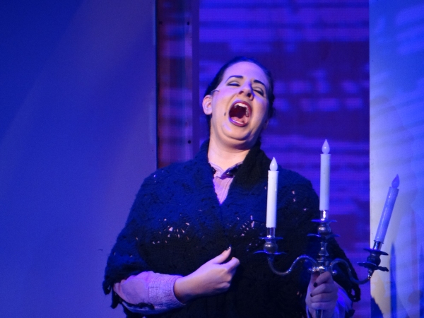 Photo Flash: First Look at YOUNG FRANKENSTEIN at the Manatee Players Image
