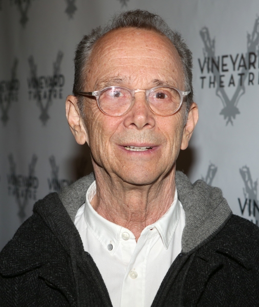 Photo Coverage: On the Red Carpet at THE LANDING Opening Night Image