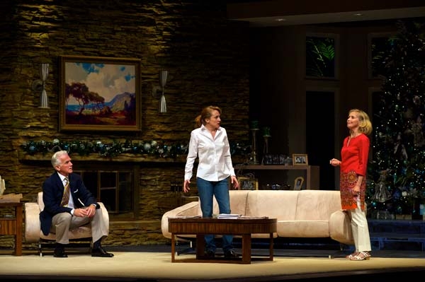 The Cast of OTHER DESERT CITIES: Joyce Cohen (Polly Wyeth), Nancy Lemenager (Brooke W Photo