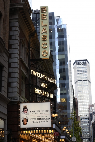 Photo Coverage: On the Red Carpet for TWELFTH NIGHT's Opening Night Arrivals Image