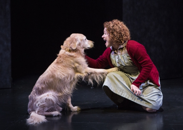 Photo Flash: New Production Shots from ANNIE at Young People's Theatre 
