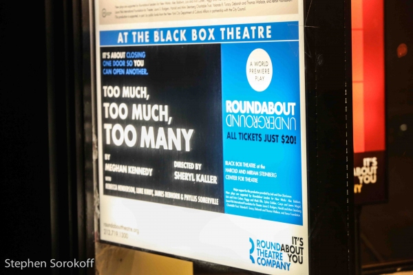 Photo Coverage: Inside Opening Night of Roundabout's TOO MUCH, TOO MUCH, TOO MANY Image