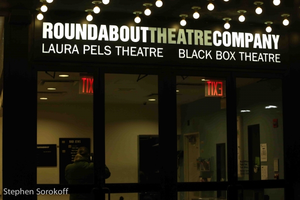 Photo Coverage: Inside Opening Night of Roundabout's TOO MUCH, TOO MUCH, TOO MANY Image