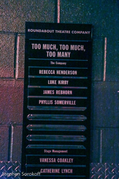 Photo Coverage: Inside Opening Night of Roundabout's TOO MUCH, TOO MUCH, TOO MANY Image