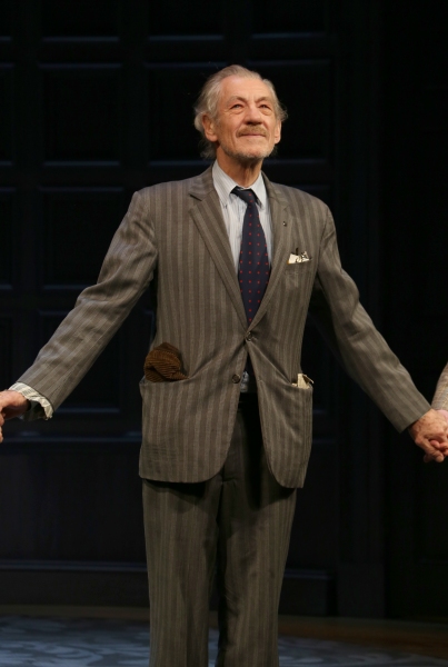 Photo Coverage: Ian McKellen, Patrick Stewart & More Take First Official Bow in NO MAN'S LAND Image