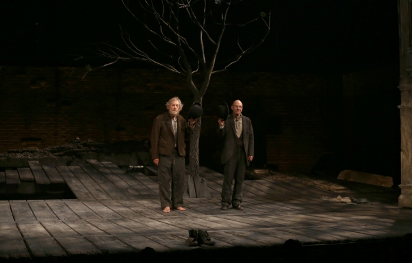 Photo Coverage: Inside the WAITING FOR GODOT Opening Night Curtain Call! Image