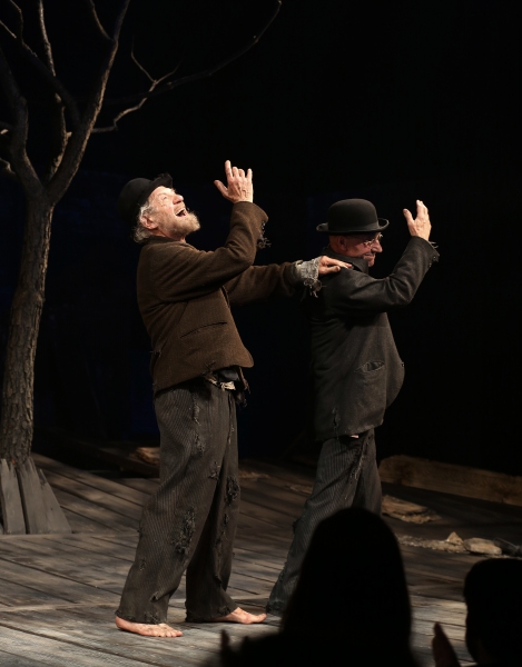 Photo Coverage: Inside the WAITING FOR GODOT Opening Night Curtain Call! Image