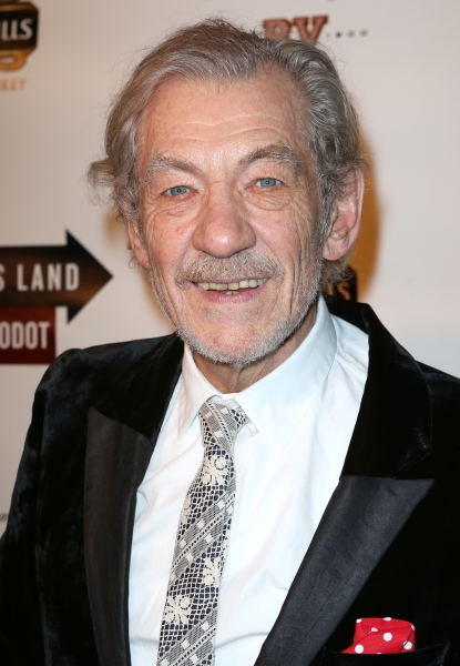 Photo Coverage: WAITING FOR GODOT & NO MAN'S LAND's Patrick Stewart, Ian McKellen & More Celebrate Opening Night! Image
