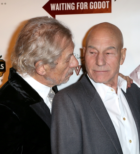 Photo Coverage: WAITING FOR GODOT & NO MAN'S LAND's Patrick Stewart, Ian McKellen & More Celebrate Opening Night! Image