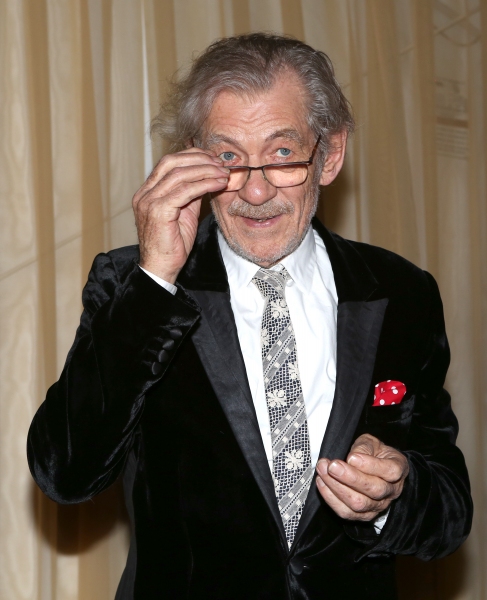 Photo Coverage: WAITING FOR GODOT & NO MAN'S LAND's Patrick Stewart, Ian McKellen & More Celebrate Opening Night! Image