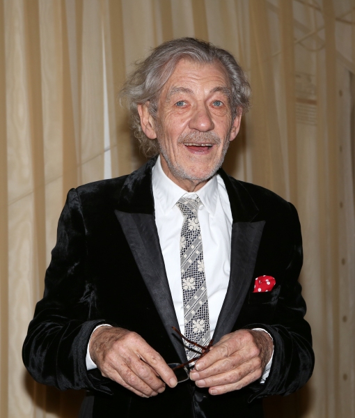 Photo Coverage: WAITING FOR GODOT & NO MAN'S LAND's Patrick Stewart, Ian McKellen & More Celebrate Opening Night! Image