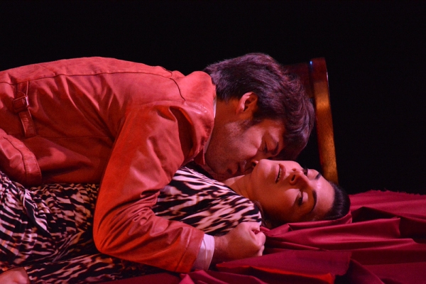 Photo Flash: First Look at Imago Theatre's THE LOVER Image