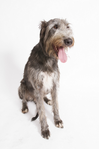 Photo Flash: Meet the Cast of Arkansas Rep's BECAUSE OF WINN DIXIE, Playing thru Jan 5 Image