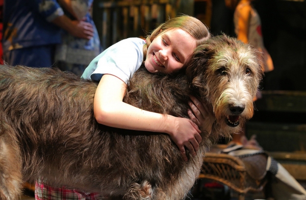 Photo Flash: First Look at Arkansas Rep's BECAUSE OF WINN DIXIE World Premiere Image