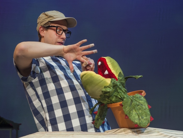 Photo Flash: First Look at Foothill Music Theatre's LITTLE SHOP OF HORRORS Image