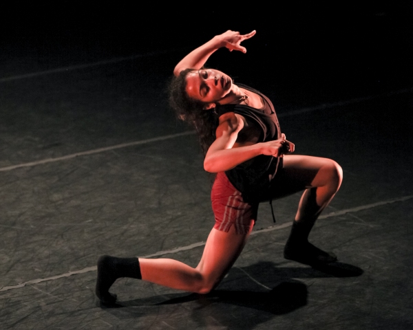 Photo Flash: First Look at DanceWorks Chicago's DANCE CHANCE 
