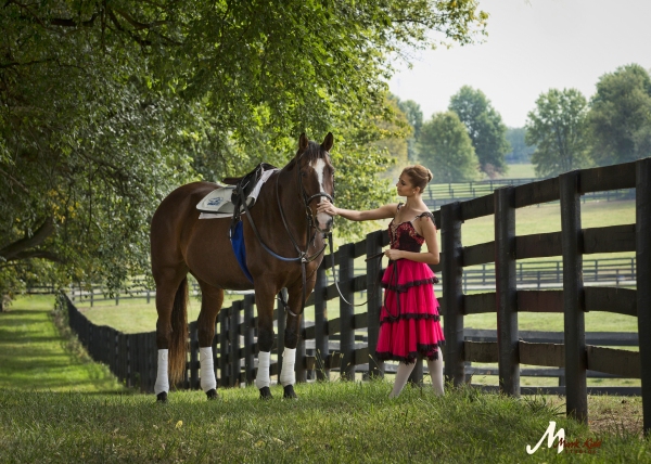 Photo Flash: Moscow Ballet Posts Third Record Breaking Season in a Row Photo Flash: Moscow Ballet Posts Third Record Breaking Season in a Row Image