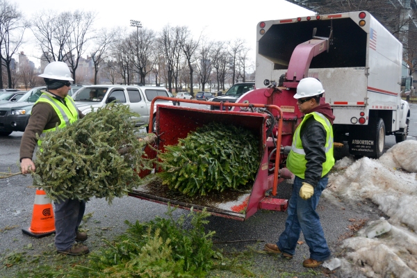 Photo Flash: Record-Breaking Number of Christmas Trees Recycled at MulchFest 2014 