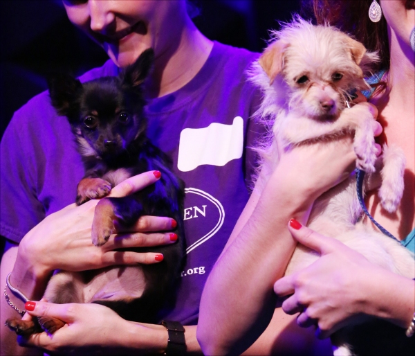 Photo Coverage: BROADWAYWORLD.COM VISITS OZ  The Concert - Part One  Image