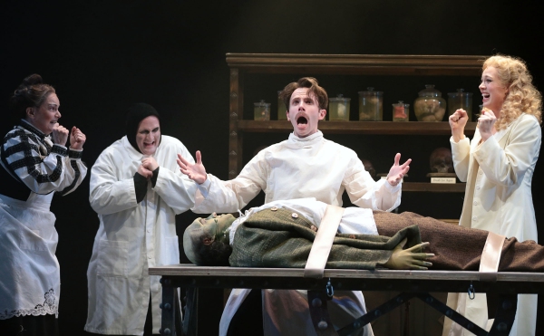 Photo Coverage: YOUNG FRANKENSTEIN at Drury Lane Theatre Photo Coverage: YOUNG FRANKENSTEIN at Drury Lane Theatre Image