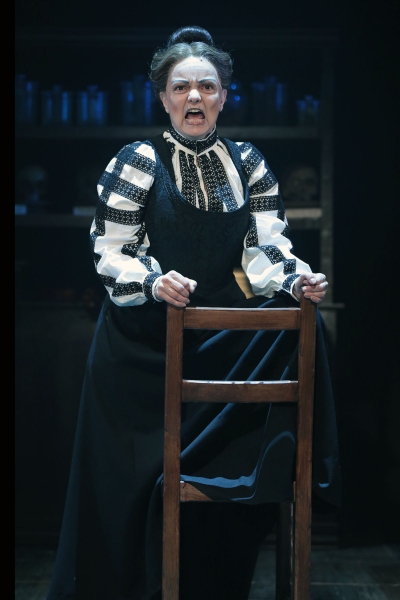 Photo Coverage: YOUNG FRANKENSTEIN at Drury Lane Theatre  Image