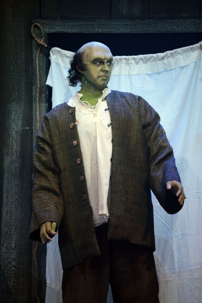 Photo Coverage: YOUNG FRANKENSTEIN at Drury Lane Theatre  Image