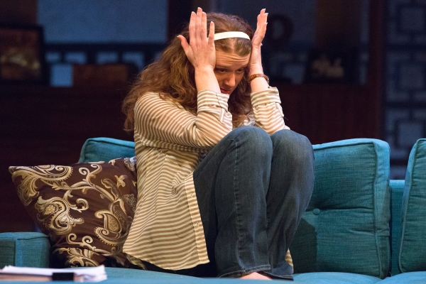 Photo Flash: First Look at Walnut Street Theatre's OTHER DESERT CITIES, Opening Tonight Image