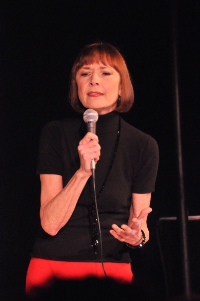Photo Coverage: Karen Akers, Charles Busch & More Perform at Nightlife Benefit Concert Image