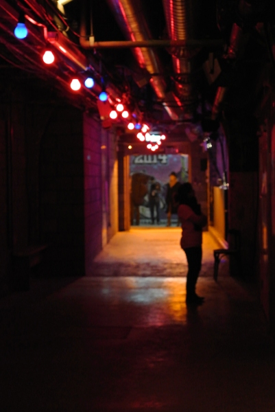 Photo Flash: First Look at THE CEMENT GARDEN and 'FEAR AND LOATHING' at VAULT Festival 2014 Image