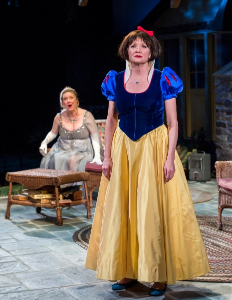 Photo Flash: First Look at Mark Blum, Christine Ebersole, David Hull, Kristine Nielsen and More in CTG's 'VANYA AND SONIA' Image