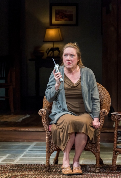 Photo Flash: First Look at Mark Blum, Christine Ebersole, David Hull, Kristine Nielsen and More in CTG's 'VANYA AND SONIA' Image