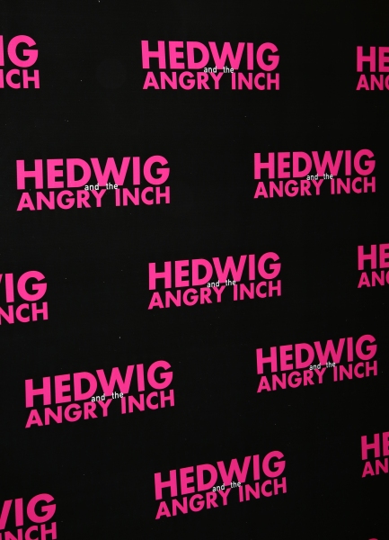 Photo Coverage: Meet the Company of Broadway-Bound HEDWIG AND THE ANGRY INCH! Image