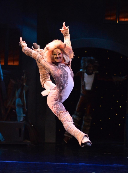 Photo Flash: First Look - CATS Opens Tonight at Beef & Boards Dinner Theatre Image