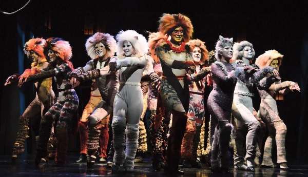 Photo Flash: First Look - CATS Opens Tonight at Beef & Boards Dinner Theatre 