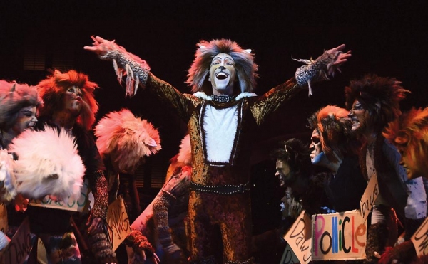Photo Flash: First Look - CATS Opens Tonight at Beef & Boards Dinner Theatre 
