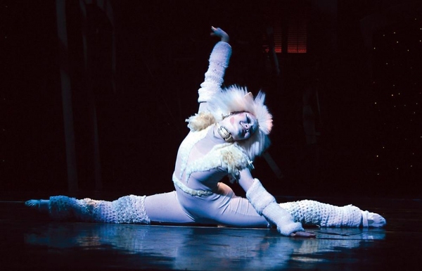Photo Flash: First Look - CATS Opens Tonight at Beef & Boards Dinner Theatre Image