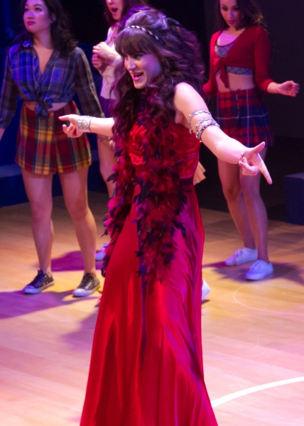 Photo Flash: First Look at Chance Theater's LYSISTRATA JONES Image