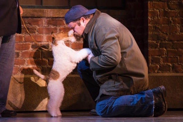 Photo Flash: 2014 Westminster 'Best In Show' Winner Makes Surprise Broadway Debut in KINKY BOOTS Image