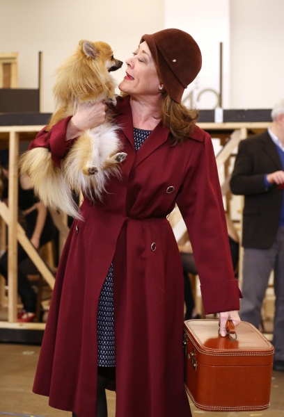 Photo Coverage: In Rehearsal with Zach Braff, Marin Mazzie & the Cast of BULLETS OVER BROADWAY! Image