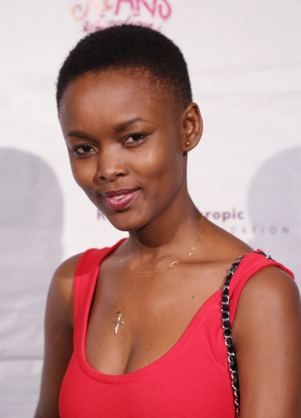 Photo Coverage: Patina Miller, Cynthia Nixon, Charl Brown & More Attend Rush HeARTS Education Luncheon Image