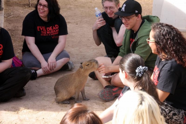 Photo Flash: Cast of EVIL DEAD THE MUSICAL Plays with Animals at Private Moapa Sanctuary 