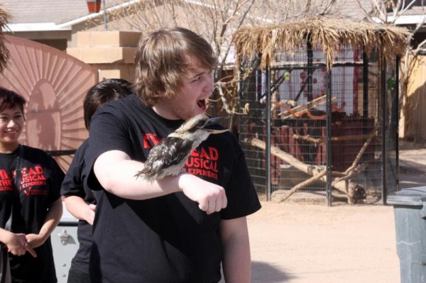 Photo Flash: Cast of EVIL DEAD THE MUSICAL Plays with Animals at Private Moapa Sanctuary 