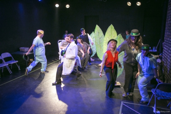 Photo Flash: First Look at The Brown Paper Box Co.'s A NEW BRAIN Image