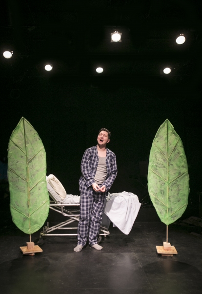 Photo Flash: First Look at The Brown Paper Box Co.'s A NEW BRAIN Image