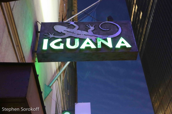 Photo Coverage: Vince Giordano & the Nighthawks Play the Iguana Image