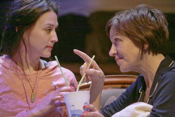 Photo Flash: First Look at Theater Wit's Midwest Debut of 'SEVEN HOMELESS MAMMOTHS' Image