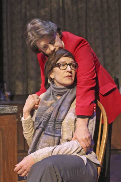 Photo Flash: First Look at Theater Wit's Midwest Debut of 'SEVEN HOMELESS MAMMOTHS' Image