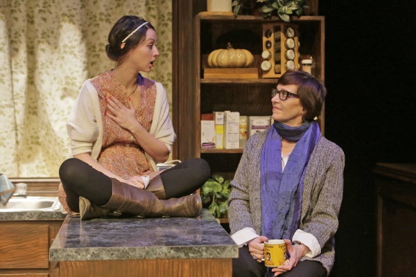 Photo Flash: First Look at Theater Wit's Midwest Debut of 'SEVEN HOMELESS MAMMOTHS' Image