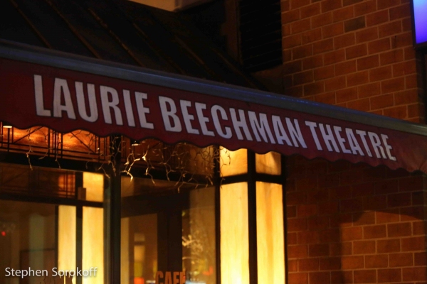 Photo Coverage: THE AMANDA MCBROOM PROJECT Plays The Laurie Beechman Theatre, Now Until 3/17 