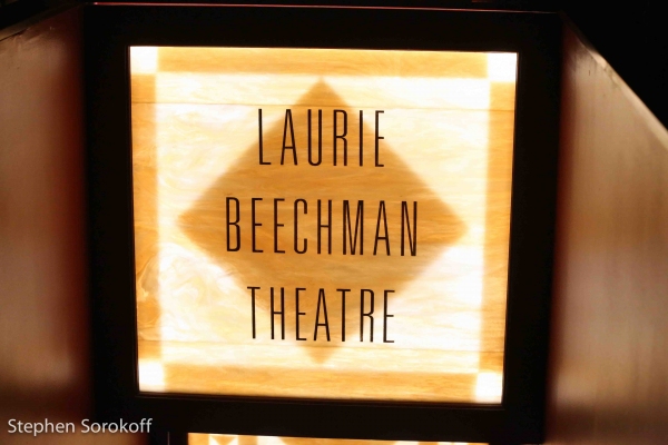 Photo Coverage: THE AMANDA MCBROOM PROJECT Plays The Laurie Beechman Theatre, Now Until 3/17 